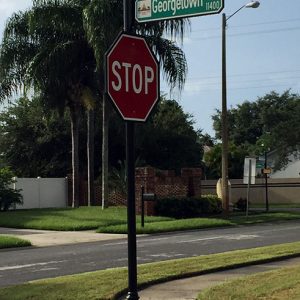 Decorative Neighborhood Street Signs