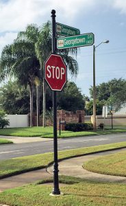 Decorative Street Sign Palm