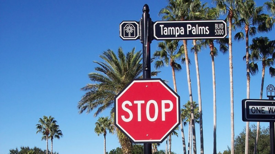 Tampa Palms Site Essentials